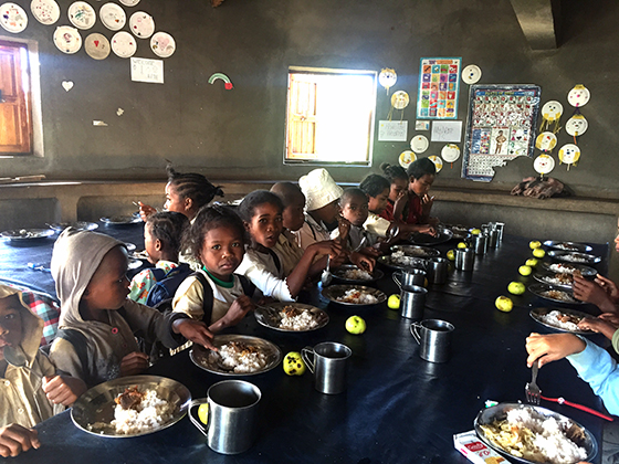 Plant generously for a good harvest